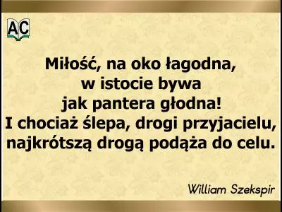 Cytat o miłości