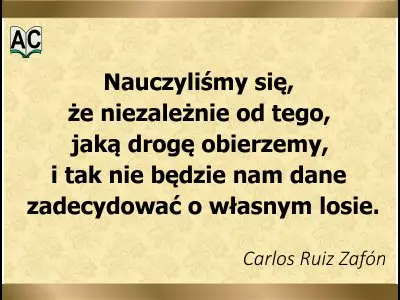 Cytat