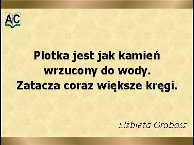 Plotka aforyzm